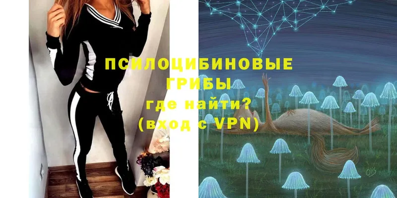 Псилоцибиновые грибы Psilocybe  дарнет шоп  Барнаул 